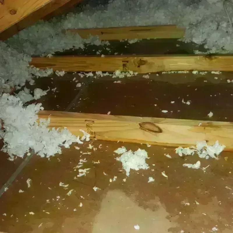 Attic Water Damage in Sidney, MT