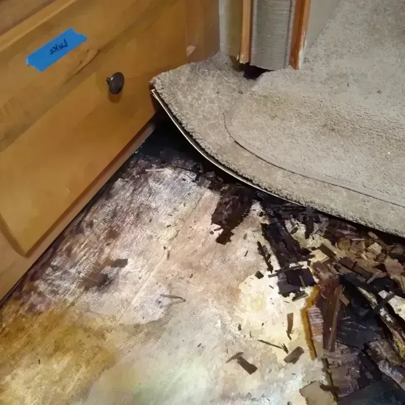 Wood Floor Water Damage in Sidney, MT